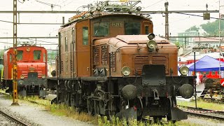 Switzerlands FINEST Historic Locomotives amp Railcars  Depotfest Olten 2023  Crocodile amp More [upl. by Aerdnua]