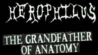 Herophilus  The Grandfather Of Anatomy [upl. by Urd]