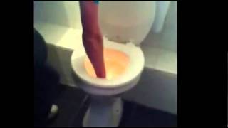 Firecracker vs Toilet [upl. by Newlin]