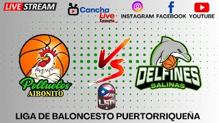 Polluelos de Aibonito LBP 🆚 Delfines de Salinas LBP 🏀 Liga de Baloncesto Puertorriqueña [upl. by Yemerej873]