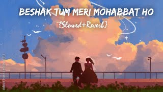 Beshak Tum Meri Mohabbat Ho  SlowedReverb  babulydvv06 [upl. by Fachan]