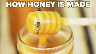 How Honey Is Made • Tasty [upl. by Zaria]