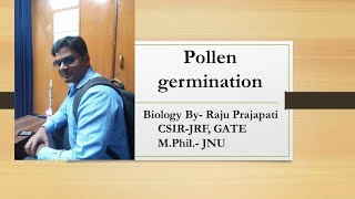 Pollen germination lecture 7 [upl. by Stclair]