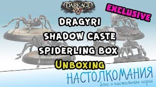 Dark Age Dragyri Shadow Caste Spiderling box  Unboxing [upl. by Ziana796]