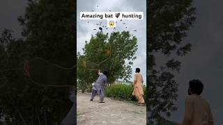 Amazing bat hunting 🦇😱 farming hunting entertainment shorts viralshorts youtubeshorts [upl. by Reece96]