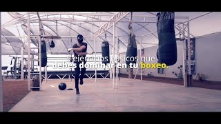 5 ejercicios básicos que un boxeador amateur debe dominar [upl. by Anthia300]