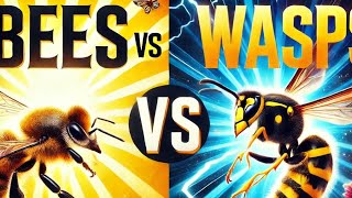 Bees vs Wasps Whats the Real Difference Bees Wasps BeesVsWasps NatureShowdown BuzzingBattle [upl. by Tilda671]