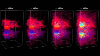 Magnetic field amplification in hypernovae  different resolutions [upl. by Sakhuja]