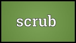 Scrub Meaning [upl. by Ile]