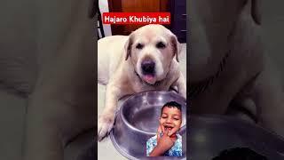 Hajaron khubiyan Hai Mujhmein mein 🐶🐶🐶shorts doglover dogshorts funnyvideo [upl. by Jermyn]