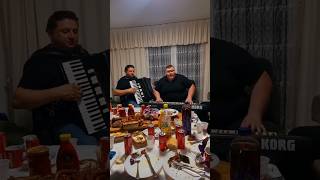 Ermin Hamidović  Zauvijek si ostala u meni ermin live music trending foryou shorts hamidović [upl. by Illac]