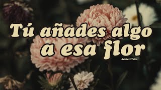 TÚ AÑADES ALGO A ESA FLOR  Eckhart Tolle [upl. by Abigale683]