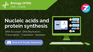 Nucleic Acids and Protein Synthesis  Biology Alevel  Discord Study Session [upl. by Chappie517]