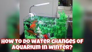 How To Do Water Changes Of Aquarium In Winter [upl. by Hoy]