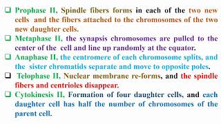 Phases of Meiosis Divisions [upl. by Anileba556]