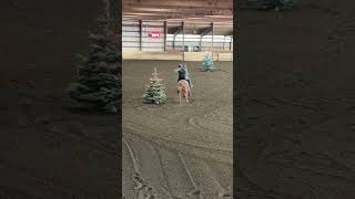 Christmas tree race Got a 166 christmas fypシ゚ equestrian barrelracing [upl. by Blood]