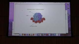 Gene Expression II  Kevin Aherns BB 451 Lecture 49 2017 [upl. by Elocel254]