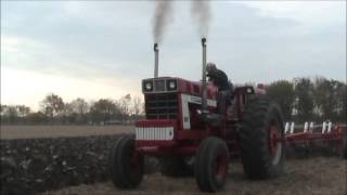 INTERNATIONAL 1568 Plowing [upl. by Ahsilrak]