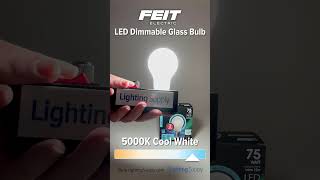 LED Bulb 75W Replacement A1975950CAFIL2 youtubeshorts ledlight feitelectric [upl. by Aihsot]