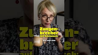 Zungenbrecher auf Sächsisch 🤣 comedy dialekt sachsen [upl. by Anivlis545]