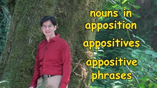 Appositives or Nouns in Apposition  Meaning Use and a Memory Trick  Ask Cozy Grammar [upl. by Nalyac]