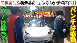 【テスラ】TESLA モデル3 ロングレンジでドライブ！！パンチさんとウノが大はしゃぎ！！【ウノ山本とパンチ佐藤の今日もどこかでDYNAMITE】 [upl. by Jacobsen]