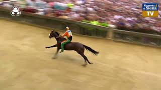 Palio di Siena 2 luglio 2023  Selva [upl. by Scoville]