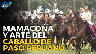 Mamacona y el hermoso arte de celebrar al CABALLO DE PASO PERUANO [upl. by Eimar963]