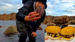 Foraging Big Abalone in Big Tide pools  Catch Clean Cook  Abalone burgers [upl. by Ehlke]