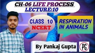 CH06  LIFE PROCESS LECTURE 10  class10science pankajgupta heterotrophs lifeprocessclass10 [upl. by Eahs]