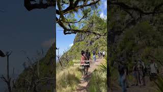 Bare Rock  Main Range National Park Such a nice hike to connect with nature at its best [upl. by Ojaras]