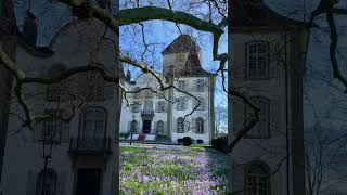 This is what spring feels like in Switzerland spring switzerland schloss Jegenstorf [upl. by Parnell]