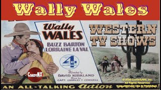 The Lone Rider 1934  Full Movie  Wally Wales [upl. by Alemaj]