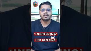 INBREEDING  LINE BREEDING  IN GOAT FARMING goatfarming [upl. by Marcello180]