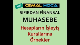 3 Muhasebenin Mantığı │ Muhasebede Borç Alacak │Hesapların İşleyişi │ Öğrenme Garantili [upl. by Ennovehs]