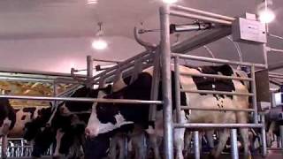 DeLaval Cascade™ Parallel Parlour  DeLaval [upl. by Anatnom]