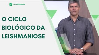 Tudo que você precisa saber para entender a Leishmaniose [upl. by Aicekat]