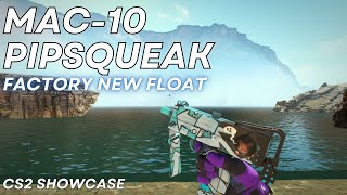 MAC10 Pipsqueak  CS2 Skin Showcase 1049 [upl. by Zamora]