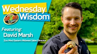 Wednesday Wisdom  Sales Rep David Marsh Interview [upl. by Wittie186]