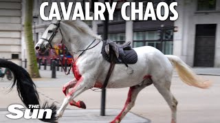 Heartstopping moment spooked cavalry horses covered in blood rampage through central London [upl. by Taima]