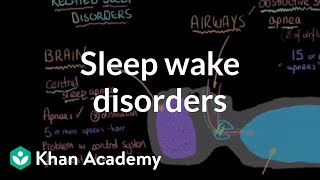 Sleep wake disorders breathing related sleep disorders  Behavior  MCAT  Khan Academy [upl. by Moskow]