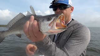 The Speckled Trout are STACKING UP [upl. by Aggy]