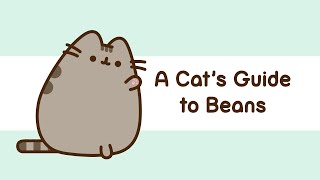 Pusheen A Cats Guide To Beans [upl. by Shaffert64]