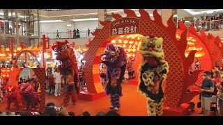 Barongsai Lion Dance menyambut Imlek CNY 2024 [upl. by Llertnac]