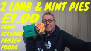 2 LAMB amp MINT PIES FROM £1 AISLE ICELAND FOOD REVIEW [upl. by Argela]