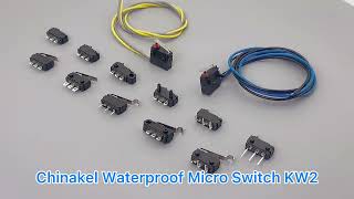 IP67 Miniature Waterproof Micro Switch Lever micro switch [upl. by Francesco]