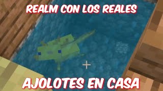 Ajolotes en casa  Realm con los Reales  Ep 16  Con sidewiphe1000 [upl. by Haff834]