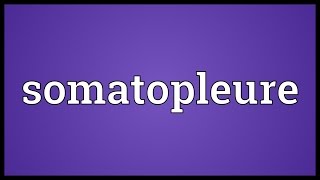 Somatopleure Meaning [upl. by Hooke]