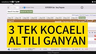 3 Eylül 2024 Salı Kocaeli at yarışı tahminleri Kocaeli altılı ganyan tahminleri [upl. by Rabkin]