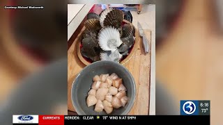 Decision to be made on proposed scallop season [upl. by Oiromed570]